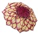 Pink and Yellow Dahlia Long Stick Auto Open Umbrella