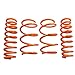 ARK Performance LF1800-0600 GT-F Lowering Springs