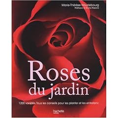 Roses du jardin