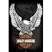 Harley Davidson (Eagle Logo) Art Poster Print - 24x36