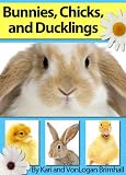 Bunnies, Chicks and Ducklings