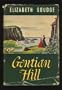Gentian Hill