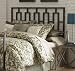 Fashion Bed Group B65446 Miami Headboard, Coffee