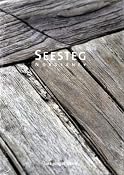 Seesteg Norderney I: Amazon.de: Lars Jungermann: B&uuml;cher