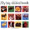 Kindergarten - Concepts of Comprehension Books