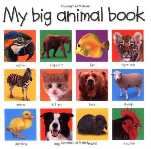 My Big Animal Book (My Big Board Books)