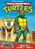 Teenage Mutant Ninja Turtles: Season 7, Pt. 4 - The Raphael Slice