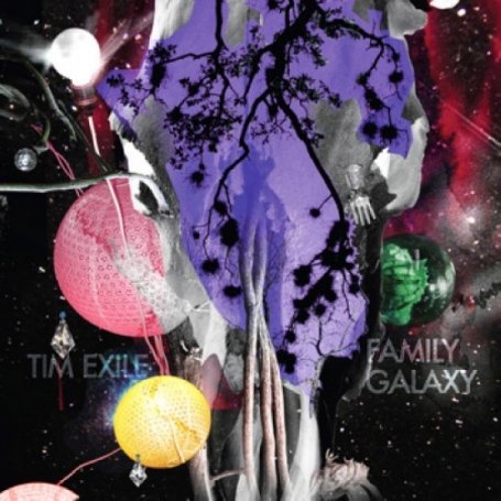 Family Galaxy [12" VINYL]