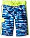 Laguna Boys' Breakwater Boardshort