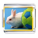 Soccer Bunny Rabbit Animal Photo Sports Italian Charms Bracelet Link