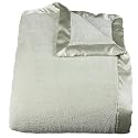 Simply Shabby Chic® Cozy Blanket - Green