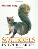 Squirrels in your garden