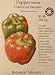 Certified Organic California Wonder Pepper Heirloom Seeds