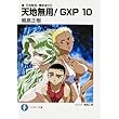 真・天地無用! 魎皇鬼外伝  天地無用! GXP10 (富士見ファンタジア文庫)