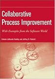 Collaborative Process Improvement: With Examples from the Software World (Practitioners)