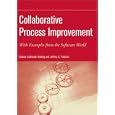 Collaborative Process Improvement: With Examples from the Software World (Practitioners)