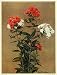 1923 Print Phlox Perennial Annual Flowers Botanical William Fuller Curtis Art - Original Color Print