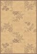 Outdoor Area Rug, Dynamic Rugs Piazza Collection Natural Brown