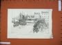1887 Rent War Ireland Tanner Ship Youghal County Cork