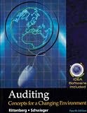 Auditing: Concepts for a Changing Environment with IDEA Software