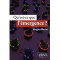 Qu'est-ce que l'�mergence?