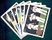 2010 Topps Baseball Cards Baltimore Orioles Compete Team Set - 17 Cards Including Nick Markakis, Reimold, Pie, Uehara, Mora, Jones, Hernandez & more!