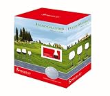 Spiegelau Vino Grande Wine Gift Set with Bonus Decanter, 13-Piece