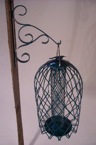 Sanctuary Caged Nut Feeder Green Medium