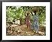 Cocoa Producing Village, Kumasi, Ghana, West Africa, Africa Collections Framed Art Po...