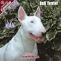 2009 Bull Terrier Wall Calendar