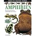 Amphibien