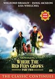 Where the Red Fern Grows II: The Classic Continues [DVD] [1992] [US Import]