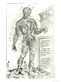 Vascular System According to Etienne, De D'Issectione Partium Corporis Humani Libri Tres, 1545 Giclee Poster Print by French School, 18x24