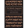 The Midrashic Imagination Jewish Exegesis, Thought, and History