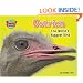 Ostrich: The World's Biggest Bird (Supersized!)
