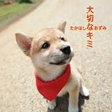 大切なキミ