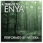 A Tribute To Enya - Performed By Neoera