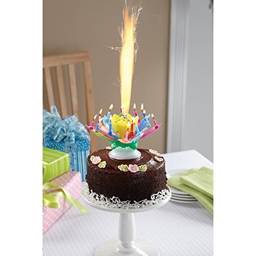 The Amazing Happy Birthday Candle (Rainbow)