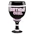 Birthday Girl Pimp Cup