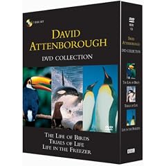 David Attenborough Collection -- Trials of Life, Life in the Freezer, Life of Birds [DVD]