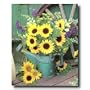 Country Sunflowers Folk Flower Picture Art Print
