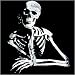 Men's T-Shirt : Grinning Skeleton - Goth Skull
