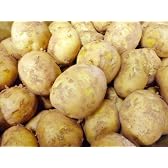 北海道産　じゃがいも Lサイズ　5kg　1箱