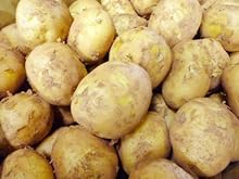 静岡県産　新じゃがいも Lサイズ　5kg　1箱