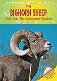 The Bighorn Sheep: Help Save This Endangered Species! (Saving Endangered Species)