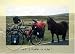 Take a ride - Postkarte - Fahrradpostkarte bei Bücher zum Namen: 51OQDu5oqQL._SL75_