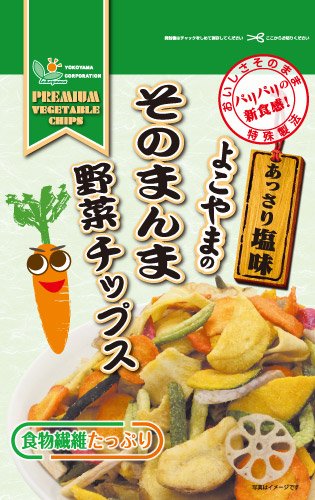 そのまんま野菜チップス 100ｇ