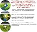 Book The Mega Marketing, Success Principles and Inner Game for Flyfishing Rods Biz 3 CD Package