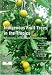 Indigenous Fruit Trees in the Tropics: Domestication, Utilization and Commercialization