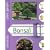 Bonsa�